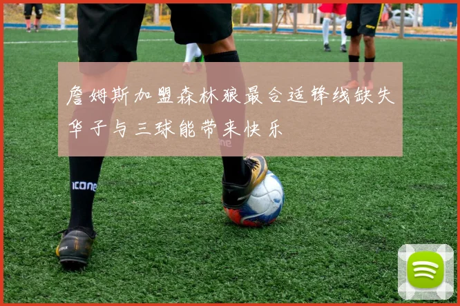 詹姆斯加盟森林狼最合适锋线缺失华子与三球能带来快乐